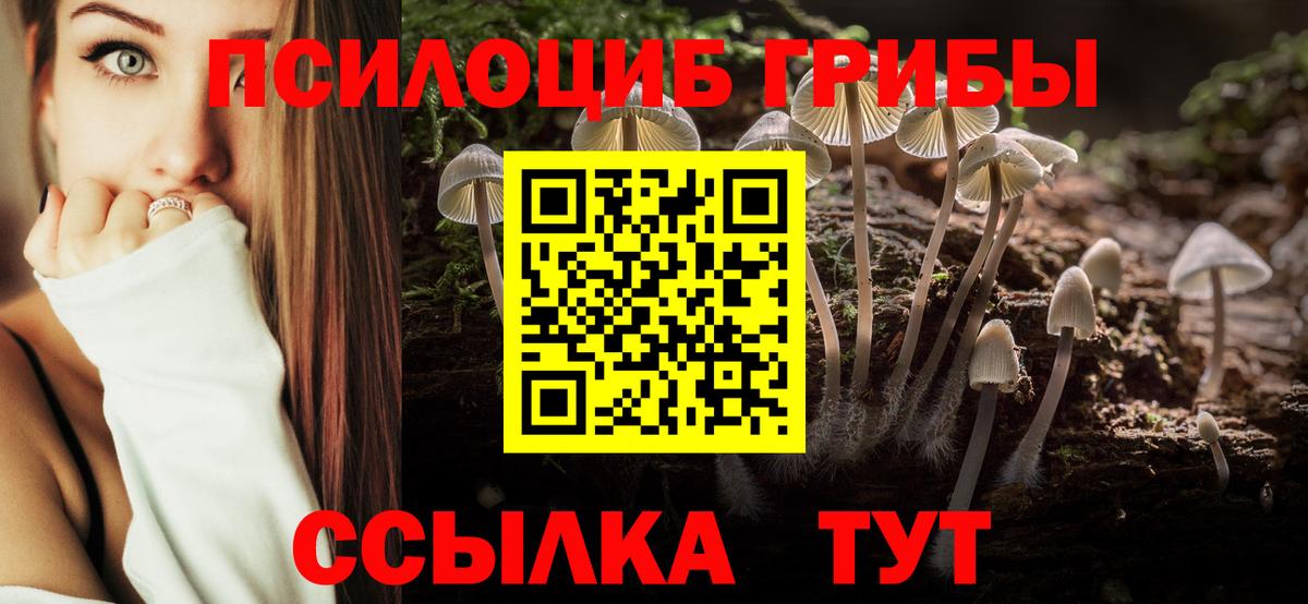 как найти закладки  Галлюциногенные грибы Psilocybe  Галлюциногенные грибы MAGIC MUSHROOMS  Вход с VPN  Щёлково 